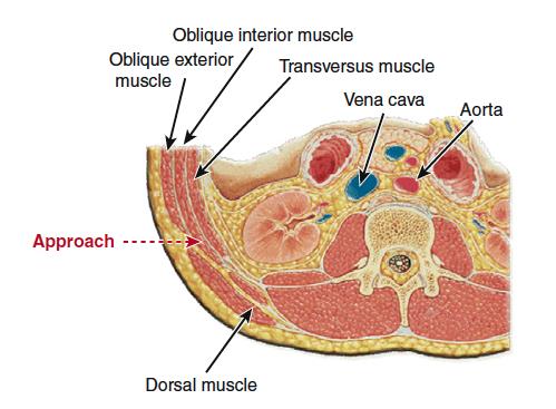 Fig1